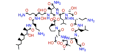 Homophymine D1